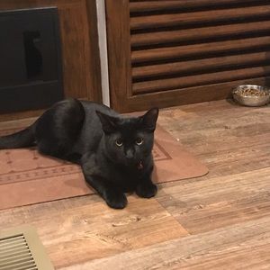 Meet your Posher, Jonathan